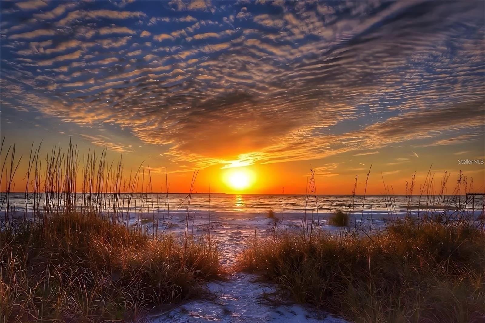 MARQUESA CONDO - Residential