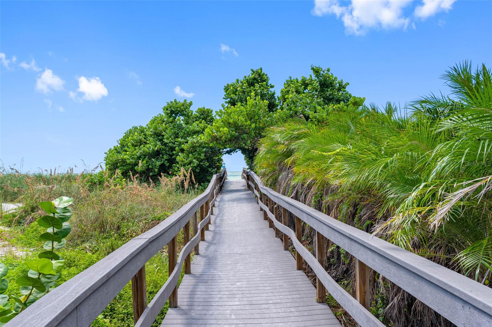 MARQUESA CONDO - Residential