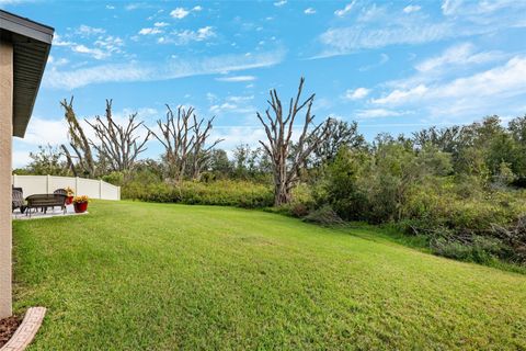 A home in WESLEY CHAPEL