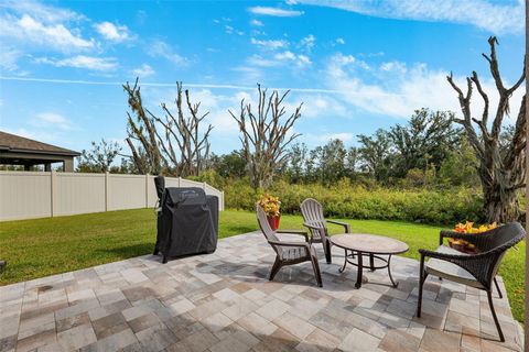 A home in WESLEY CHAPEL