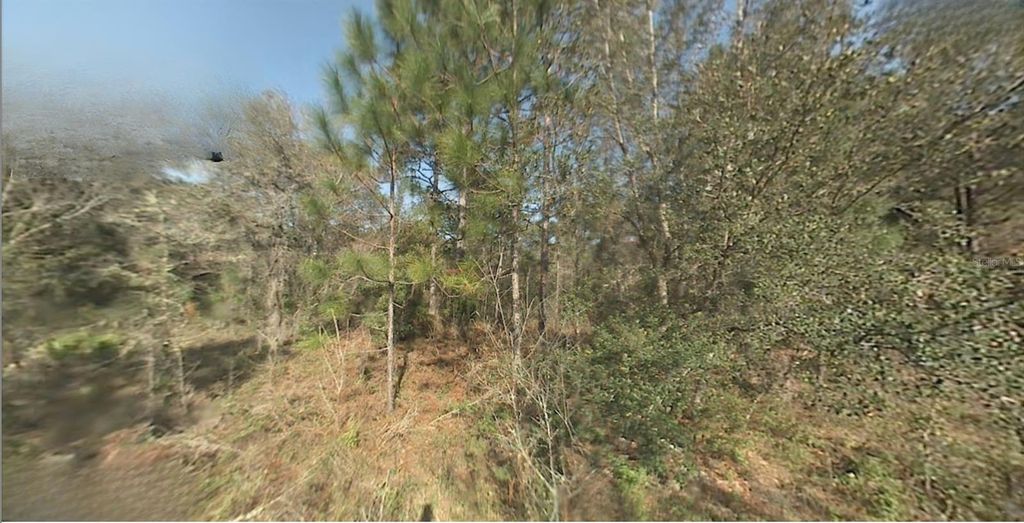 Photo of SW 22nd Street, Ocala, FL 34481 (MLS # S5147193)