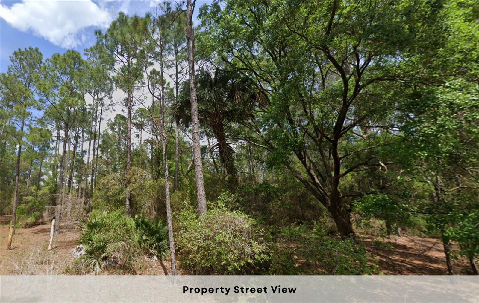 LAKE GEORGE MANOR - Land