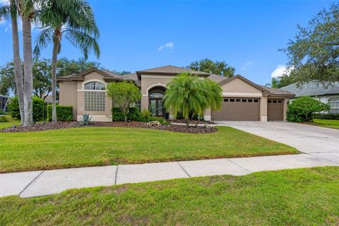 4530 ROANOAK WAY PALM HARBOR FL 34685