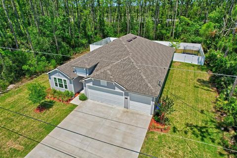 A home in PALM COAST