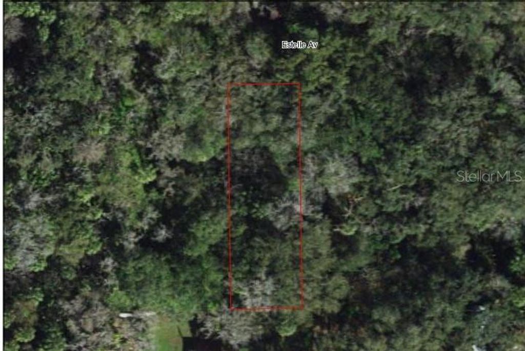 Photo of 939 Estelle Avenue, Brandon, FL 33511 (MLS # T3540821)