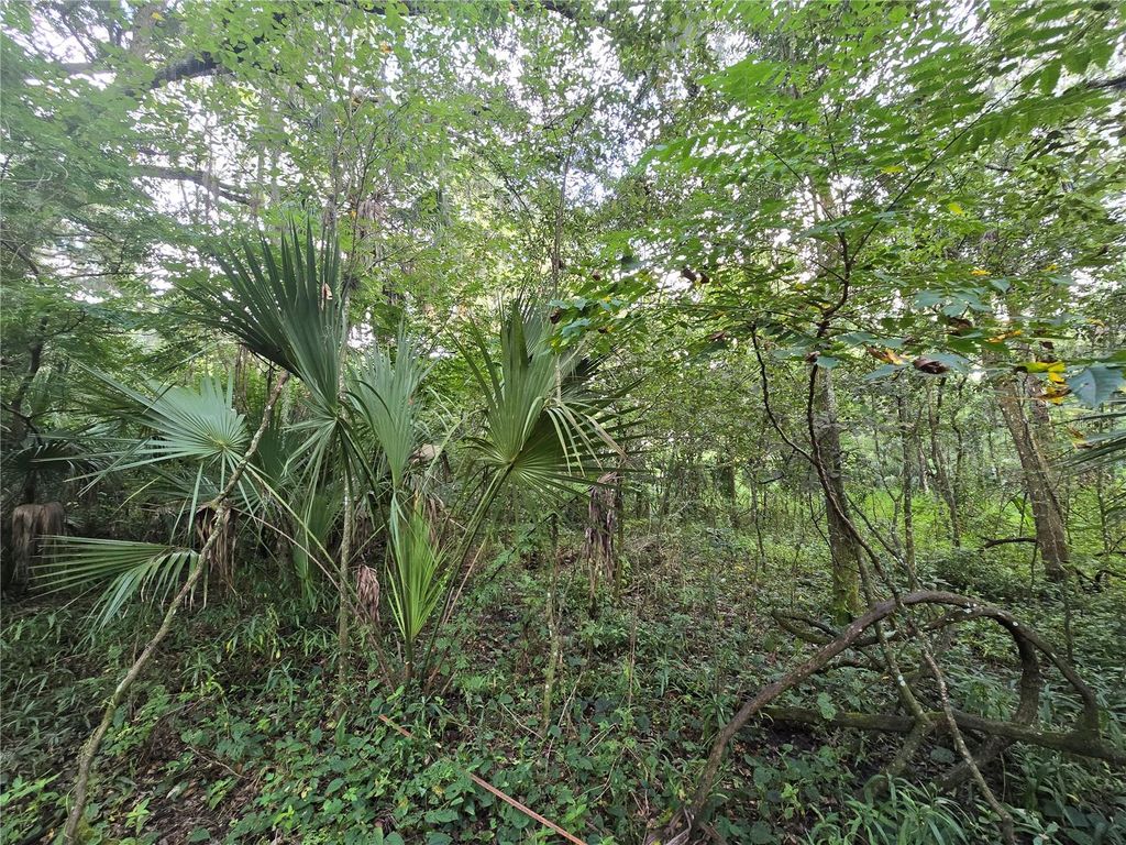 Photo of 939 Estelle Avenue, Brandon, FL 33511 (MLS # T3540821)