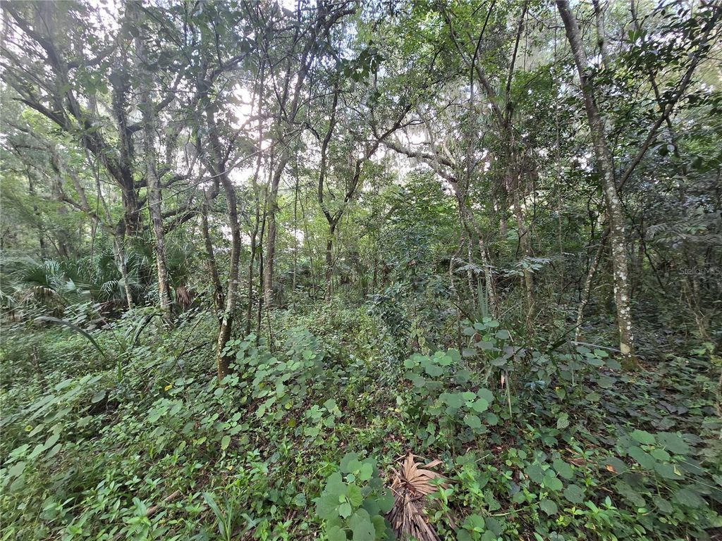 Photo of 939 Estelle Avenue, Brandon, FL 33511 (MLS # T3540821)