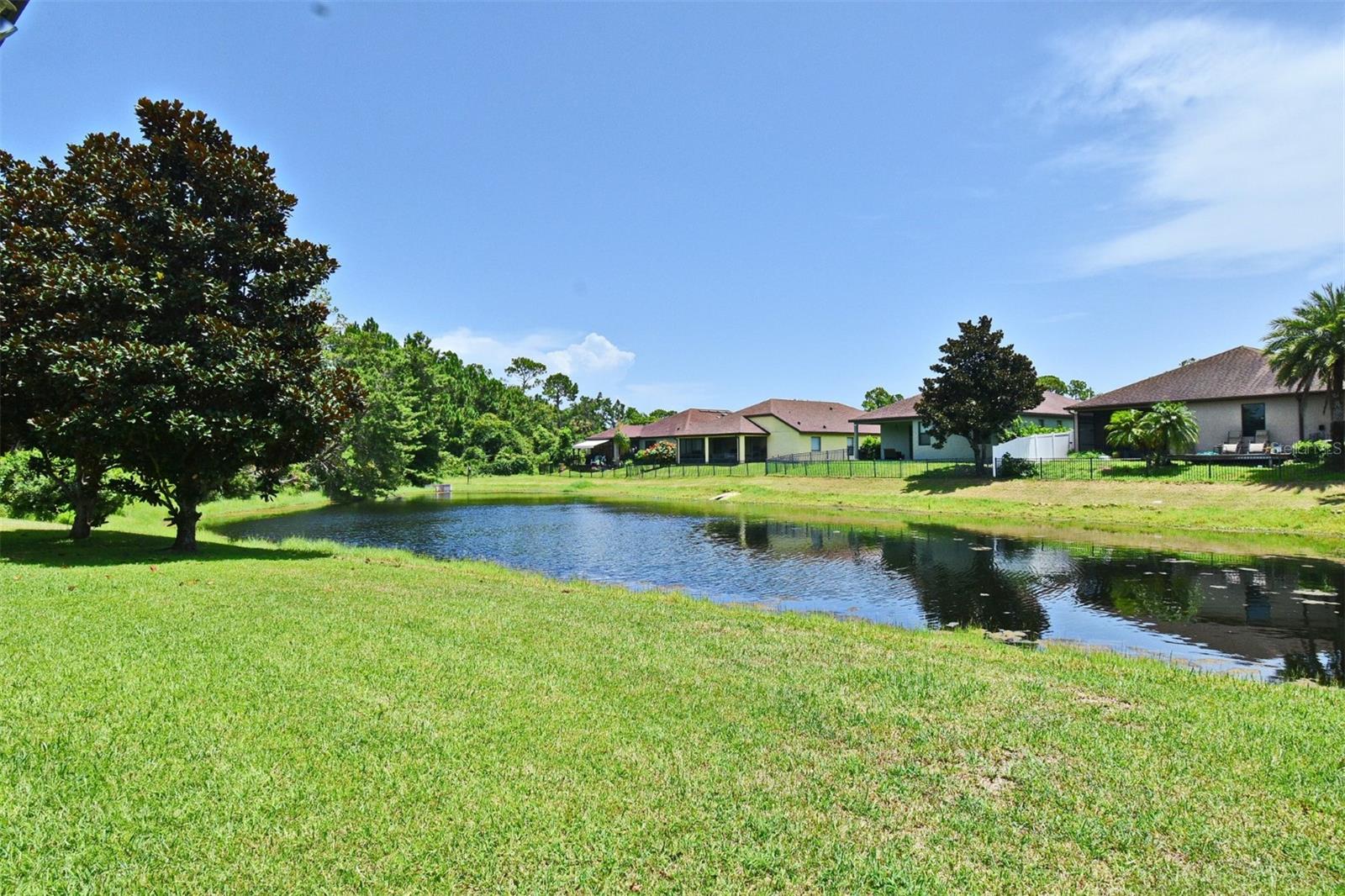217 TUSCANY CHASE DRIVE