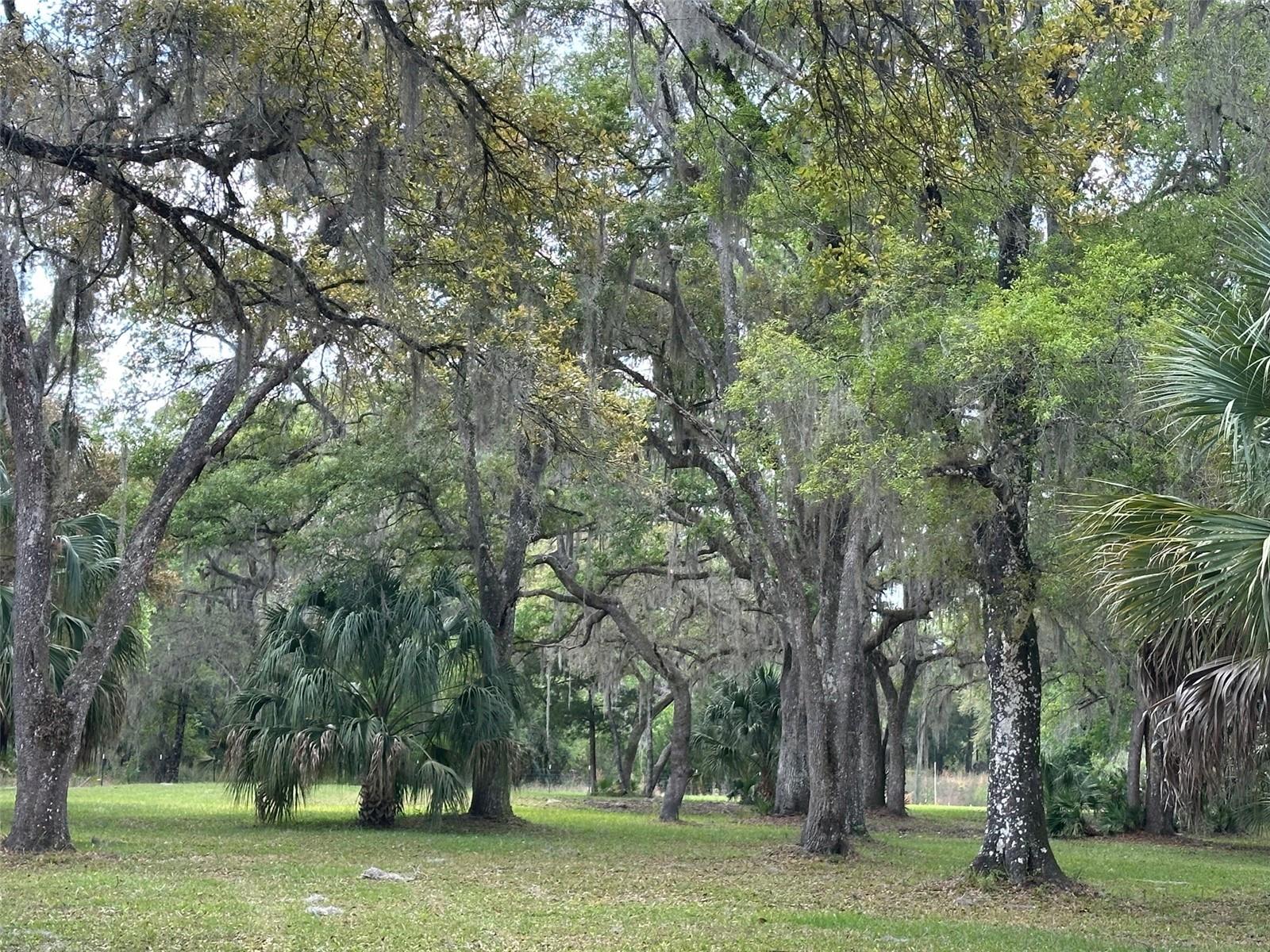 ADVERSE POSSESSION CLAIM SUB - Residential