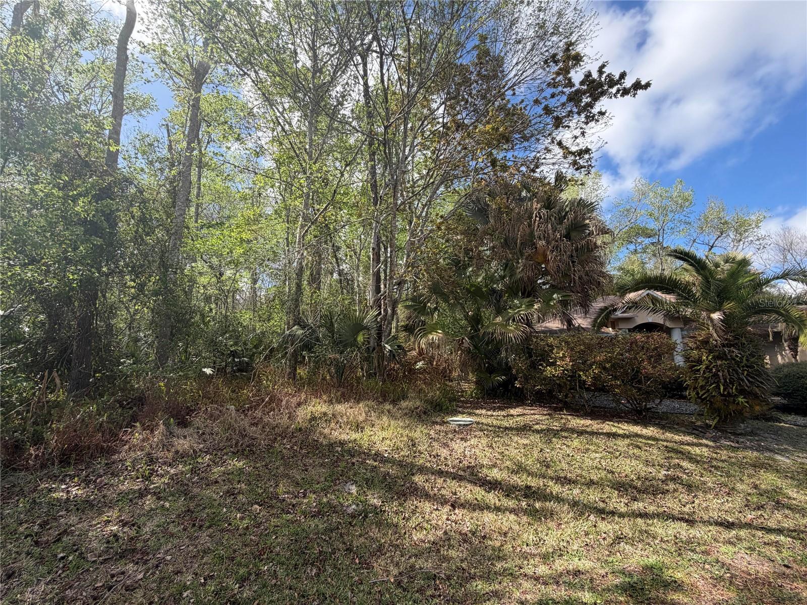 PALM COAST SEC 63 - Land