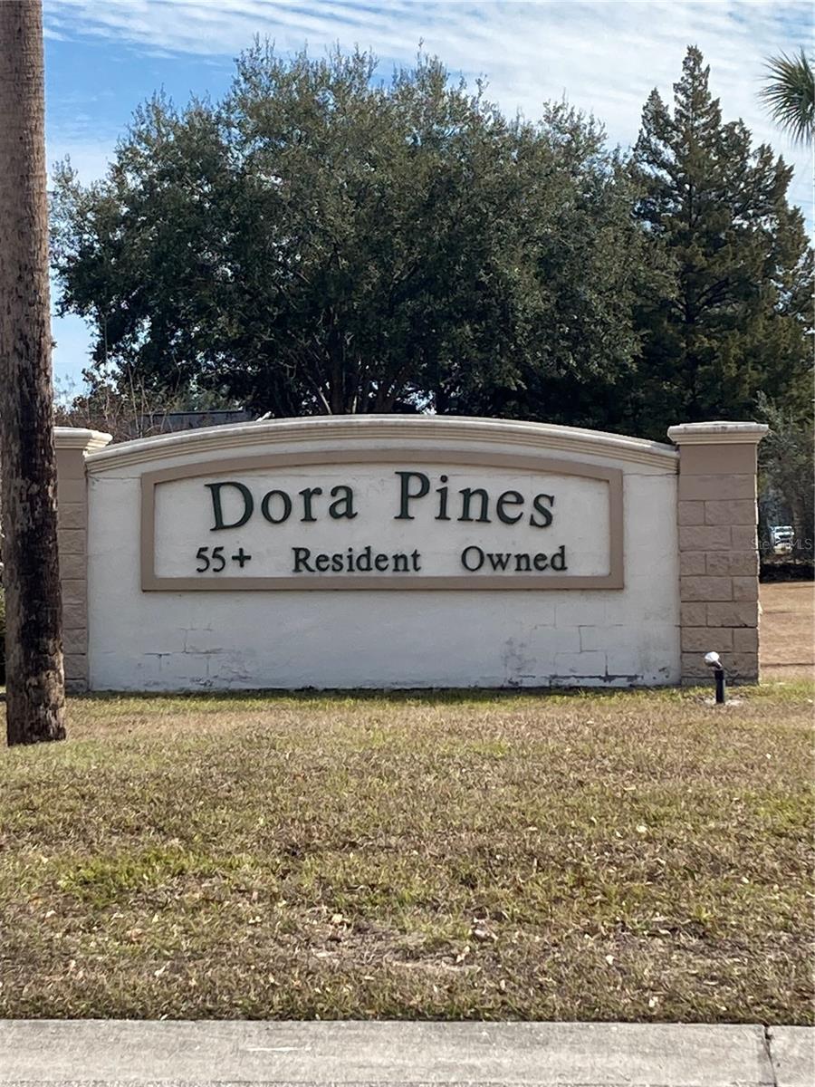 DORA PINE SUB - Residential