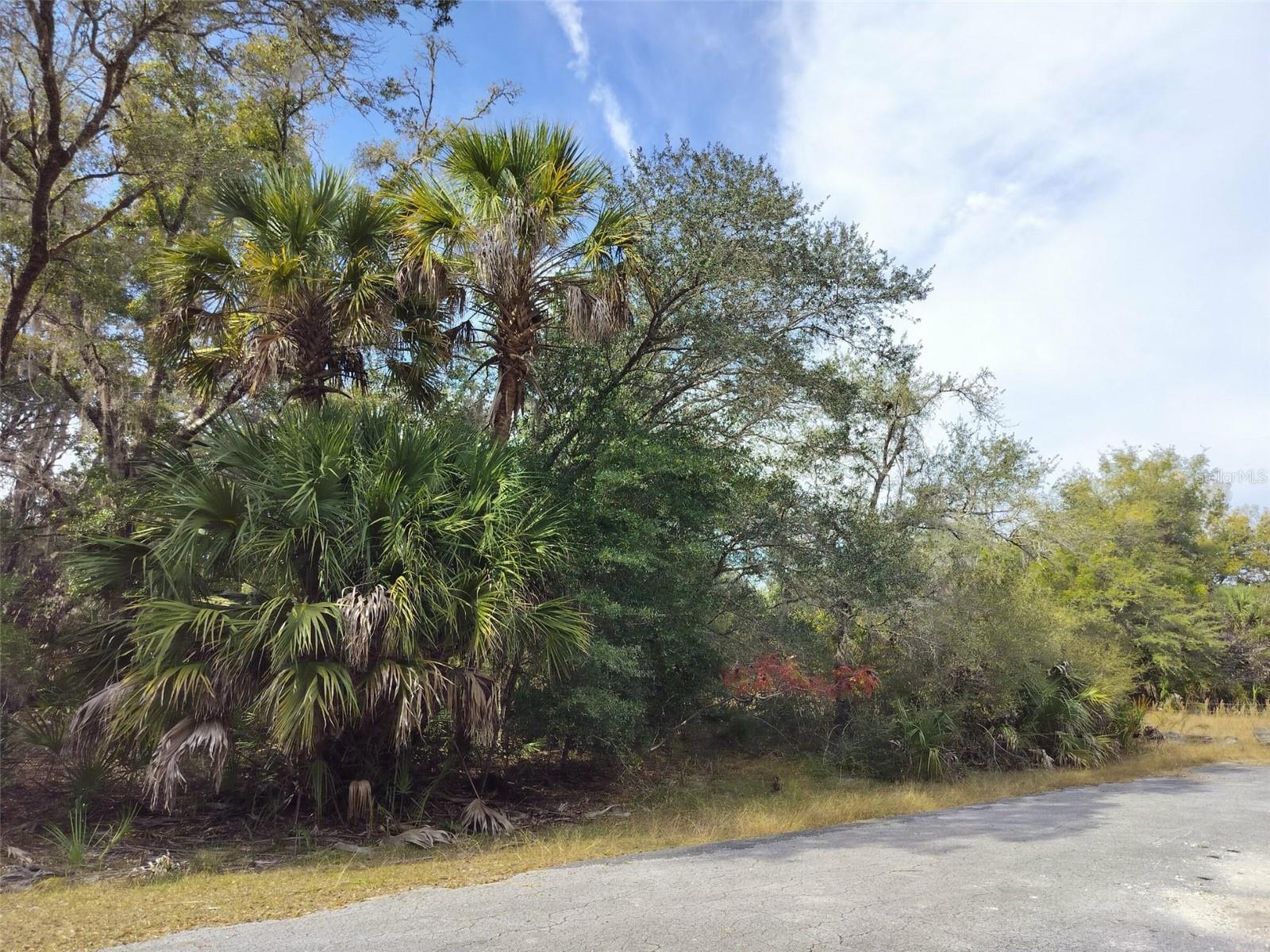 CRYSTAL MANOR UNIT 03 - Land