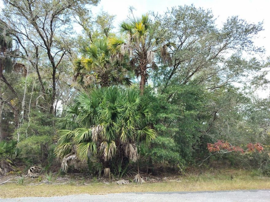 Located in the desirable Crystal Manor community, this 1.16-acre parcel in Crystal River presents an outstanding opportunity to build a custom residence in a serene, natural setting on a paved road. The property offers ample space for a thoughtfully designed home, outdoor living areas, and additional improvements, while maintaining privacy and tranquility. This residentially zoned lot (CLR – Coastal and Lakes Residential) does not permit mobile homes and will require installation of a well and septic system. Electric service is available nearby for connection. The property is zoned for Crystal River Primary School, Crystal River Middle School, and Crystal River High School, making it an excellent choice for families seeking quality education options. This parcel is great for a permanent residence, seasonal retreat, or investment property in one of Florida’s most sought-after coastal communities. Conveniently situated just minutes from the Crystal River and Gulf Coast, the location provides easy access to boating, fishing, and waterfront dining. Nearby attractions include Crystal River Preserve State Park and the renowned Three Sisters Springs, offering unparalleled opportunities for outdoor recreation and wildlife viewing. The property also benefits from proximity to US-19, ensuring quick access to shopping, dining, and schools while preserving the quiet, rural character of the neighborhood.