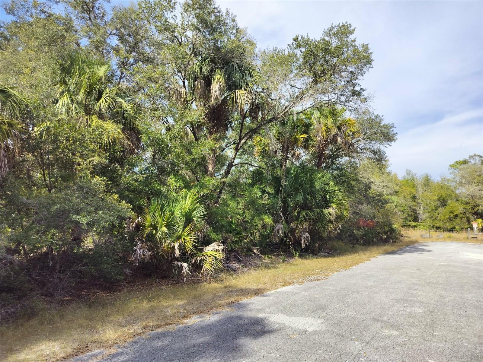 CRYSTAL MANOR UNIT 03 - Land