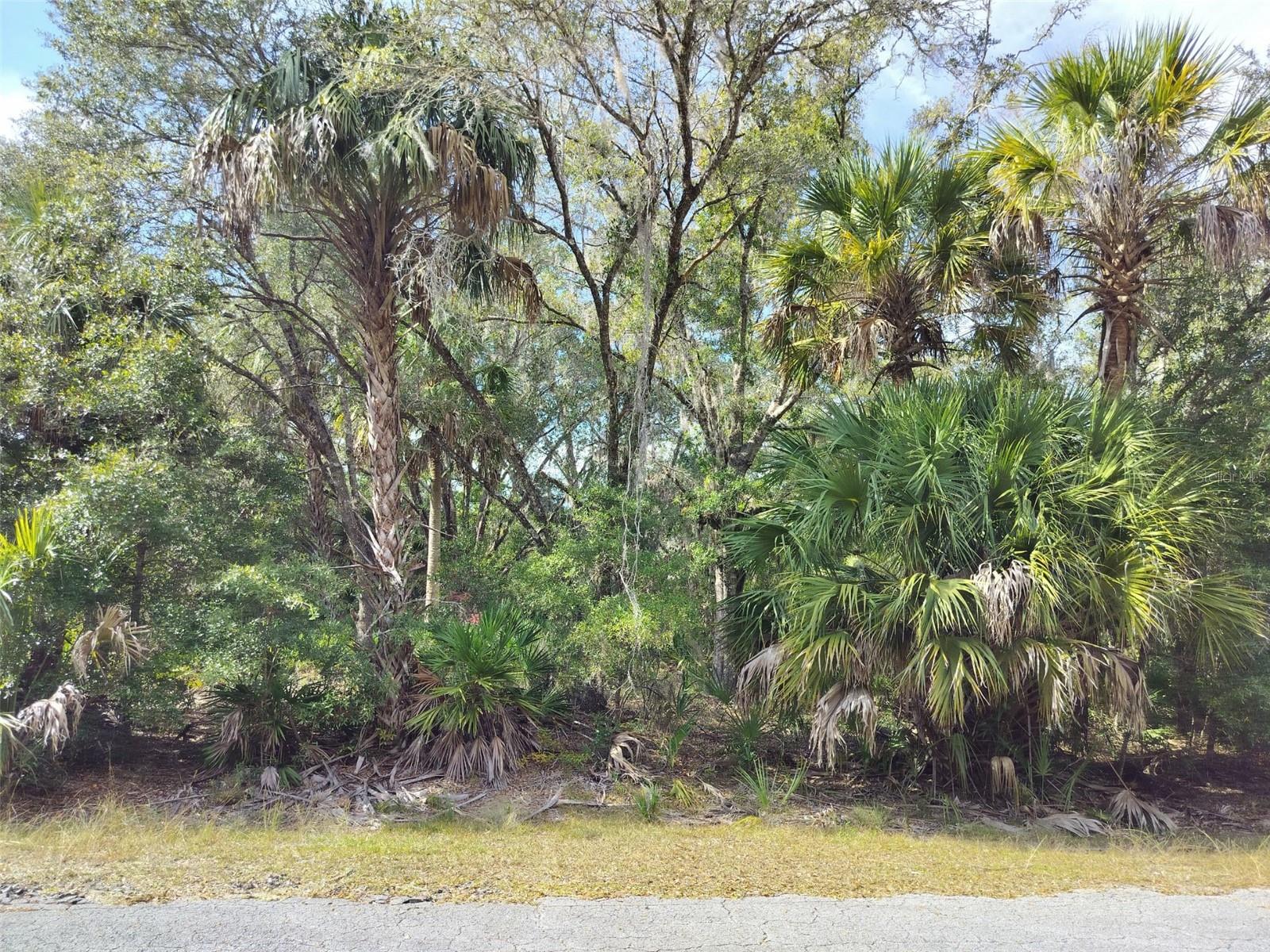 CRYSTAL MANOR UNIT 03 - Land