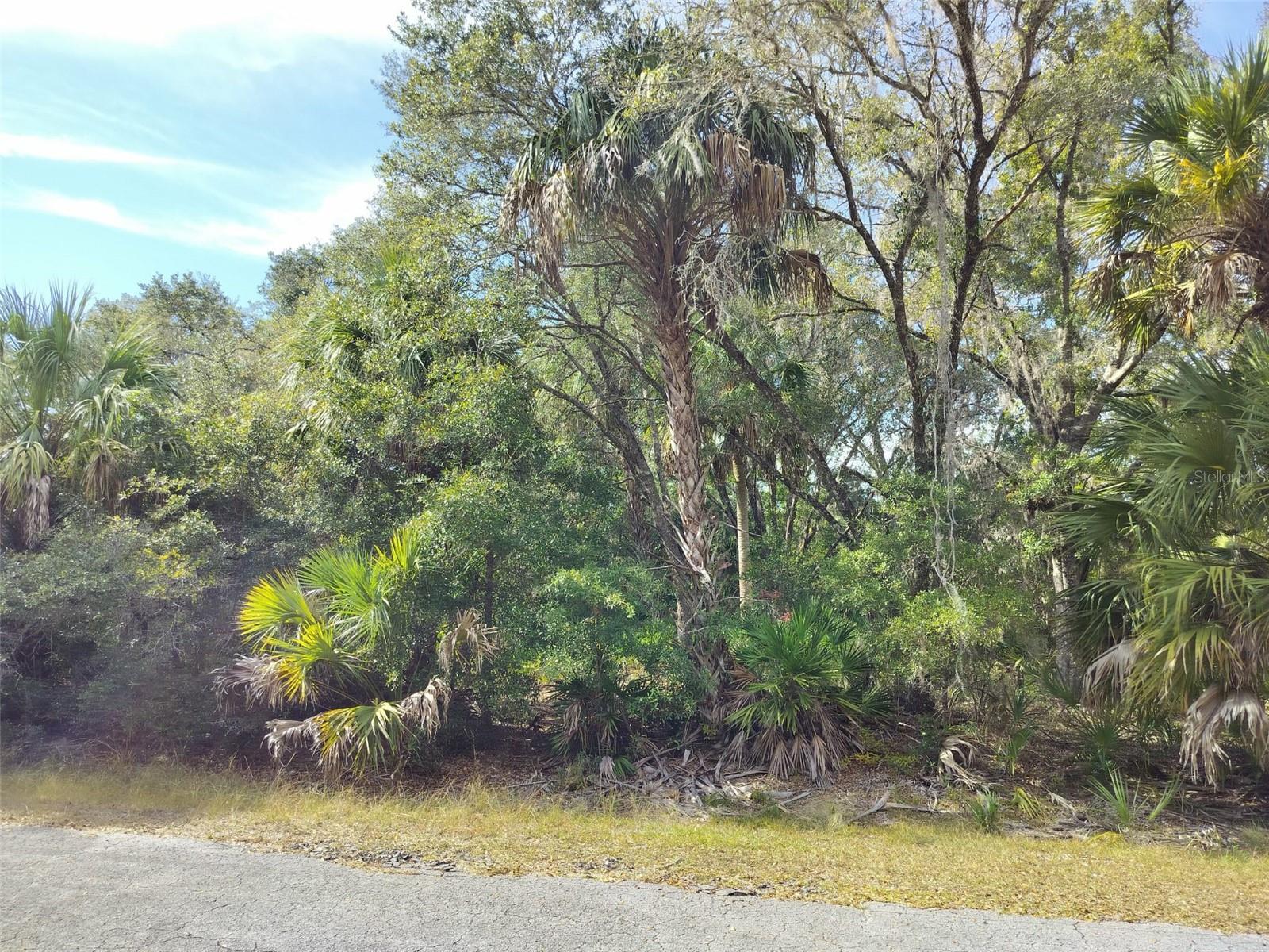 CRYSTAL MANOR UNIT 03 - Land