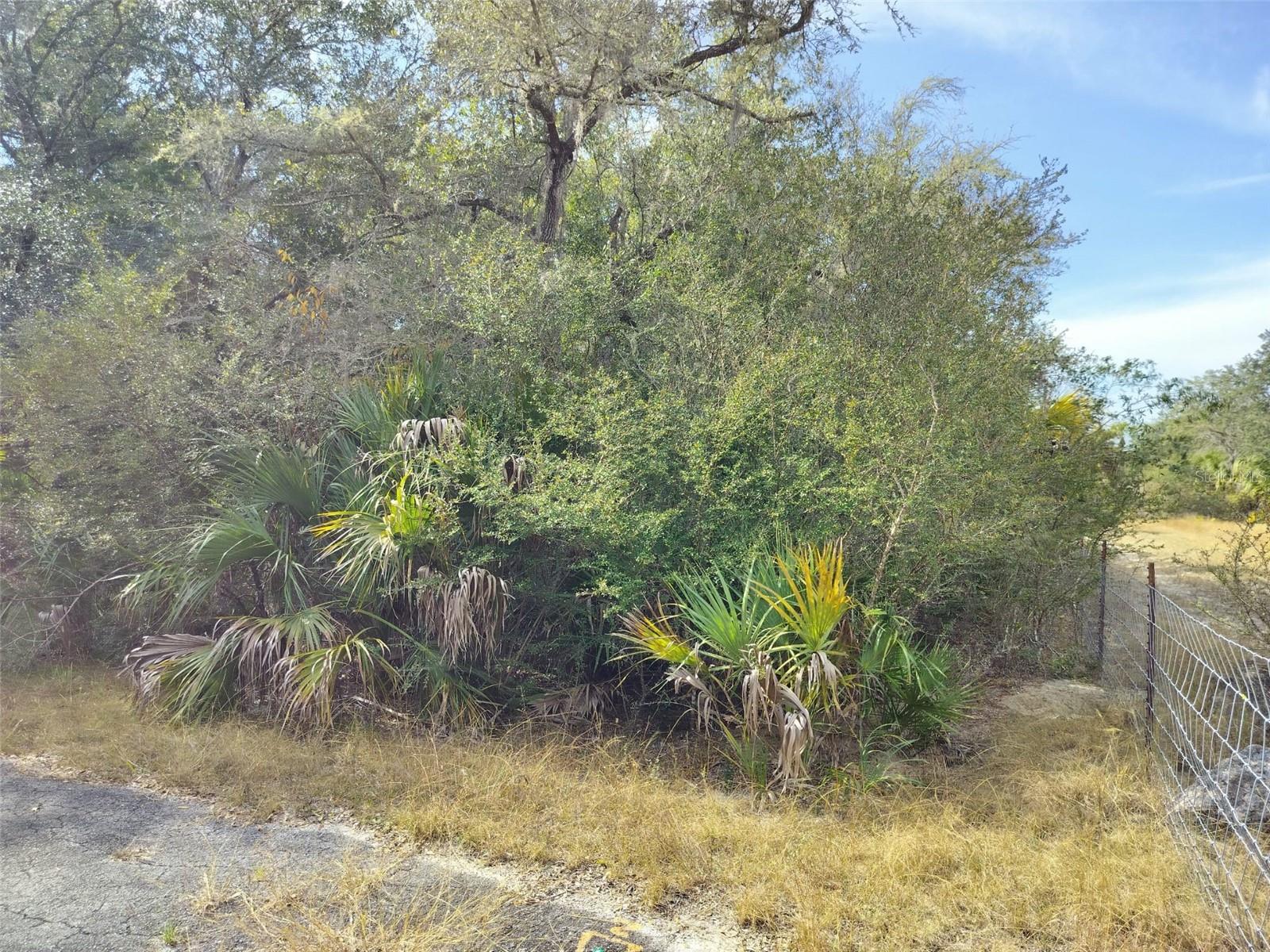 CRYSTAL MANOR UNIT 03 - Land