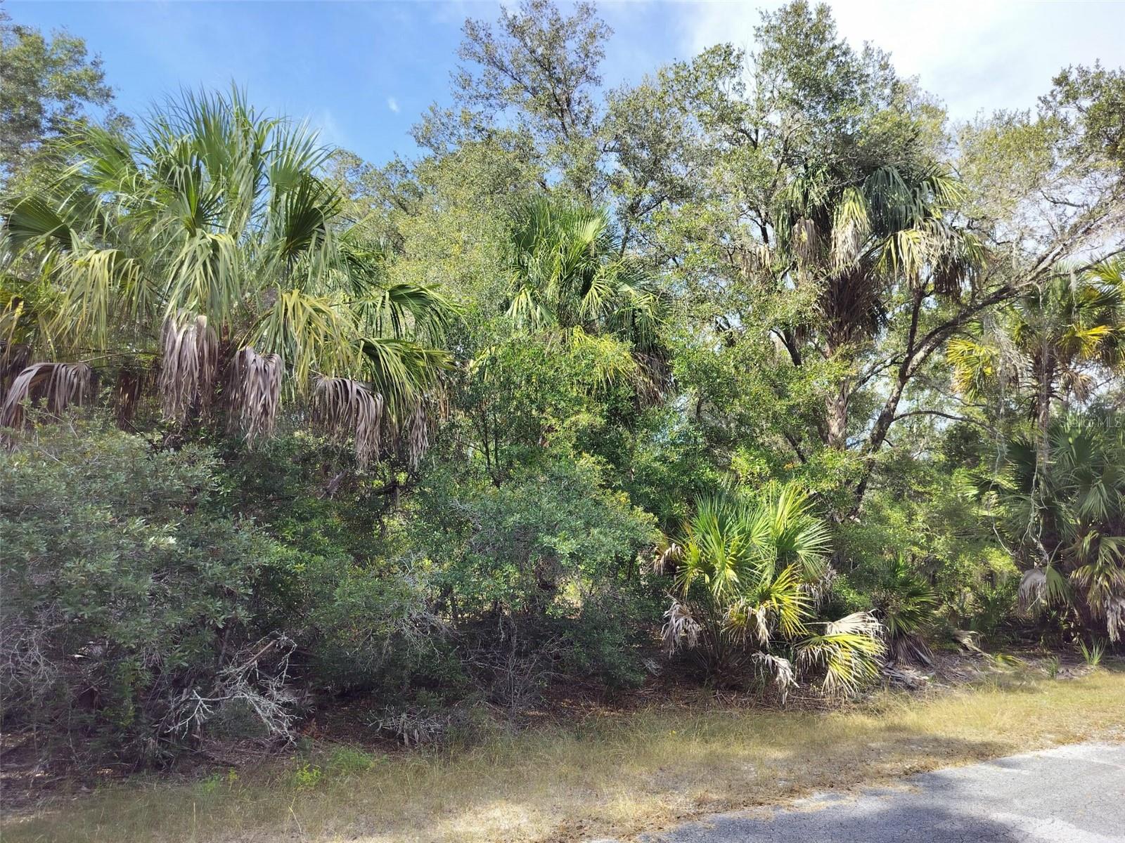 CRYSTAL MANOR UNIT 03 - Land