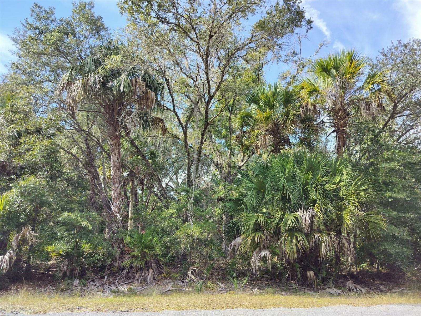 CRYSTAL MANOR UNIT 03 - Land