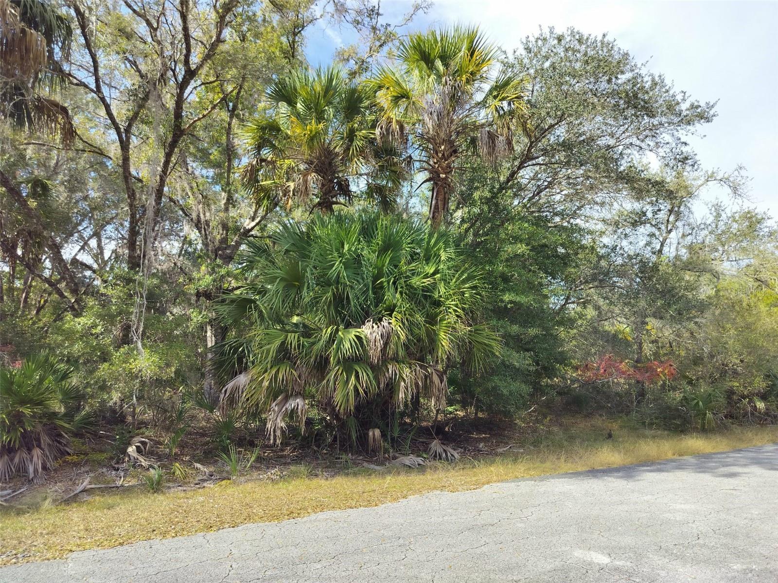 CRYSTAL MANOR UNIT 03 - Land