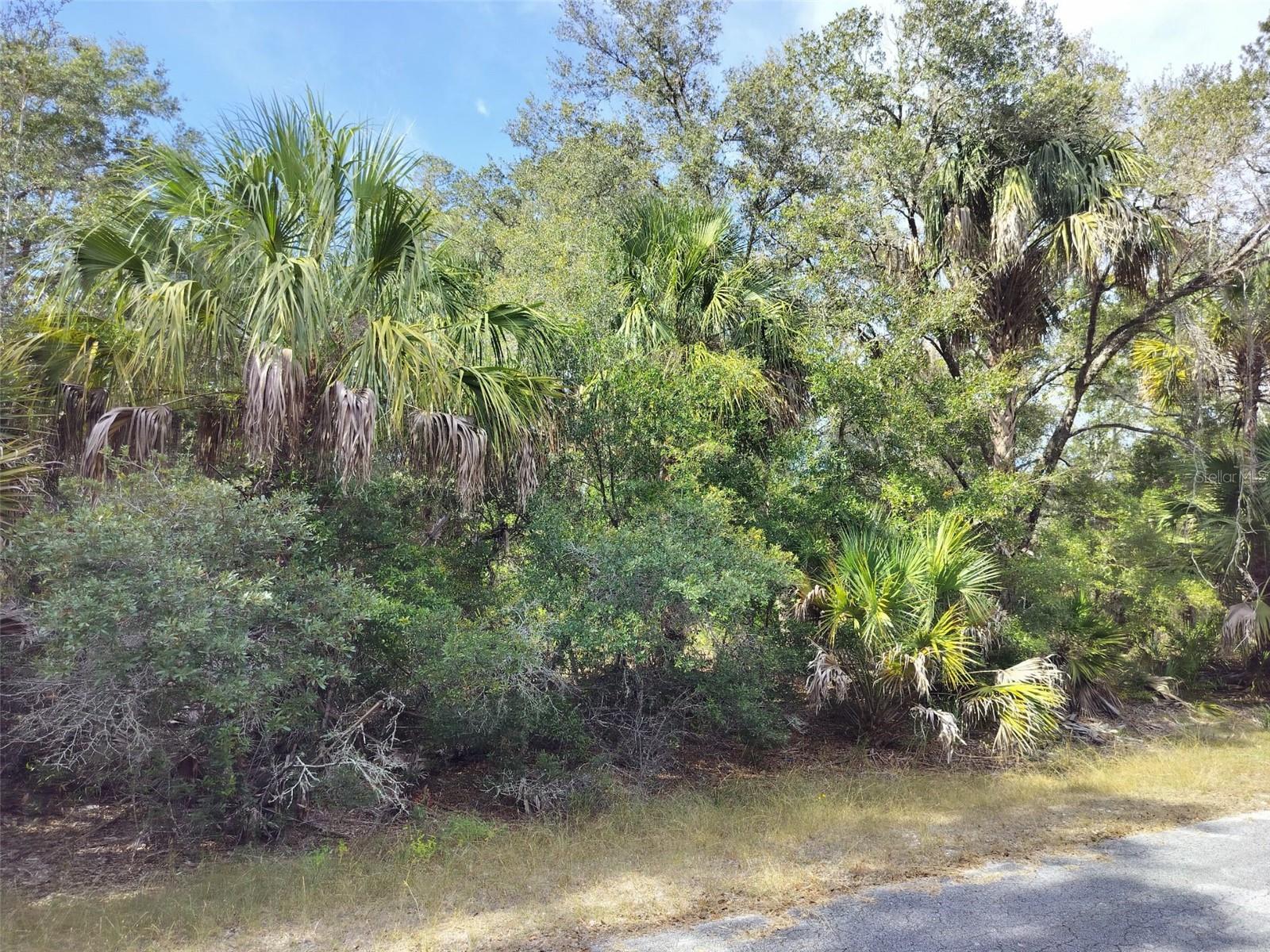 CRYSTAL MANOR UNIT 03 - Land