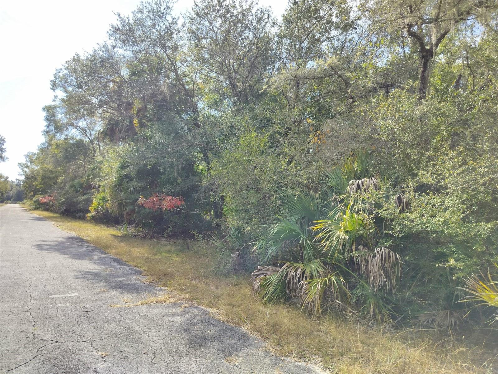 CRYSTAL MANOR UNIT 03 - Land