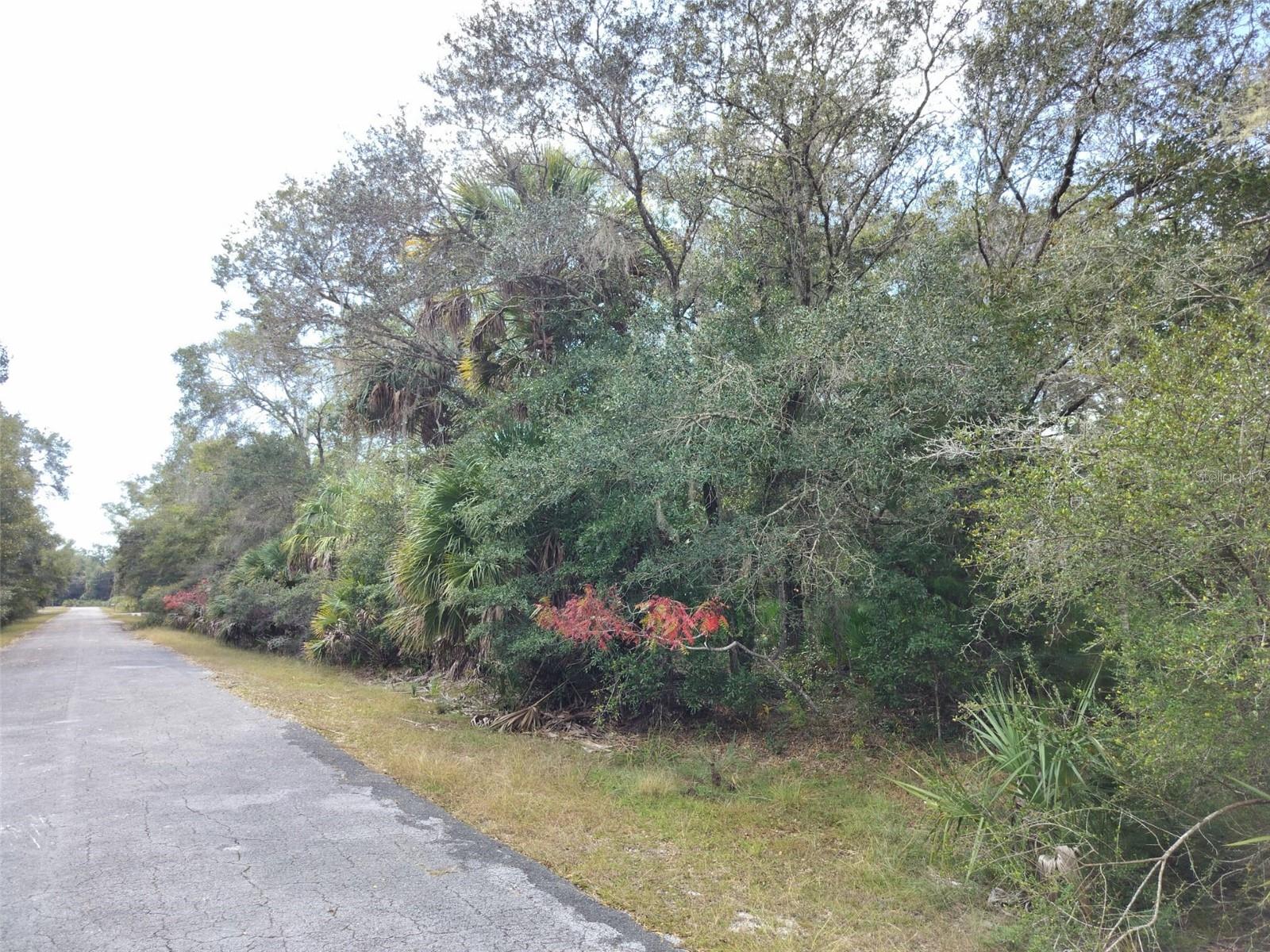 CRYSTAL MANOR UNIT 03 - Land