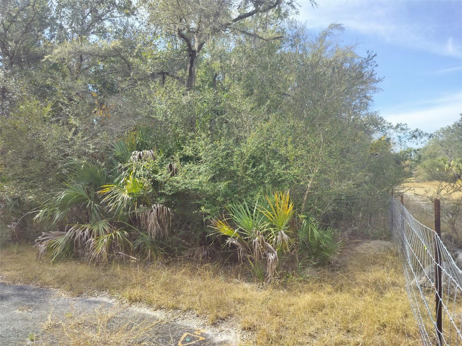 CRYSTAL MANOR UNIT 03 - Land