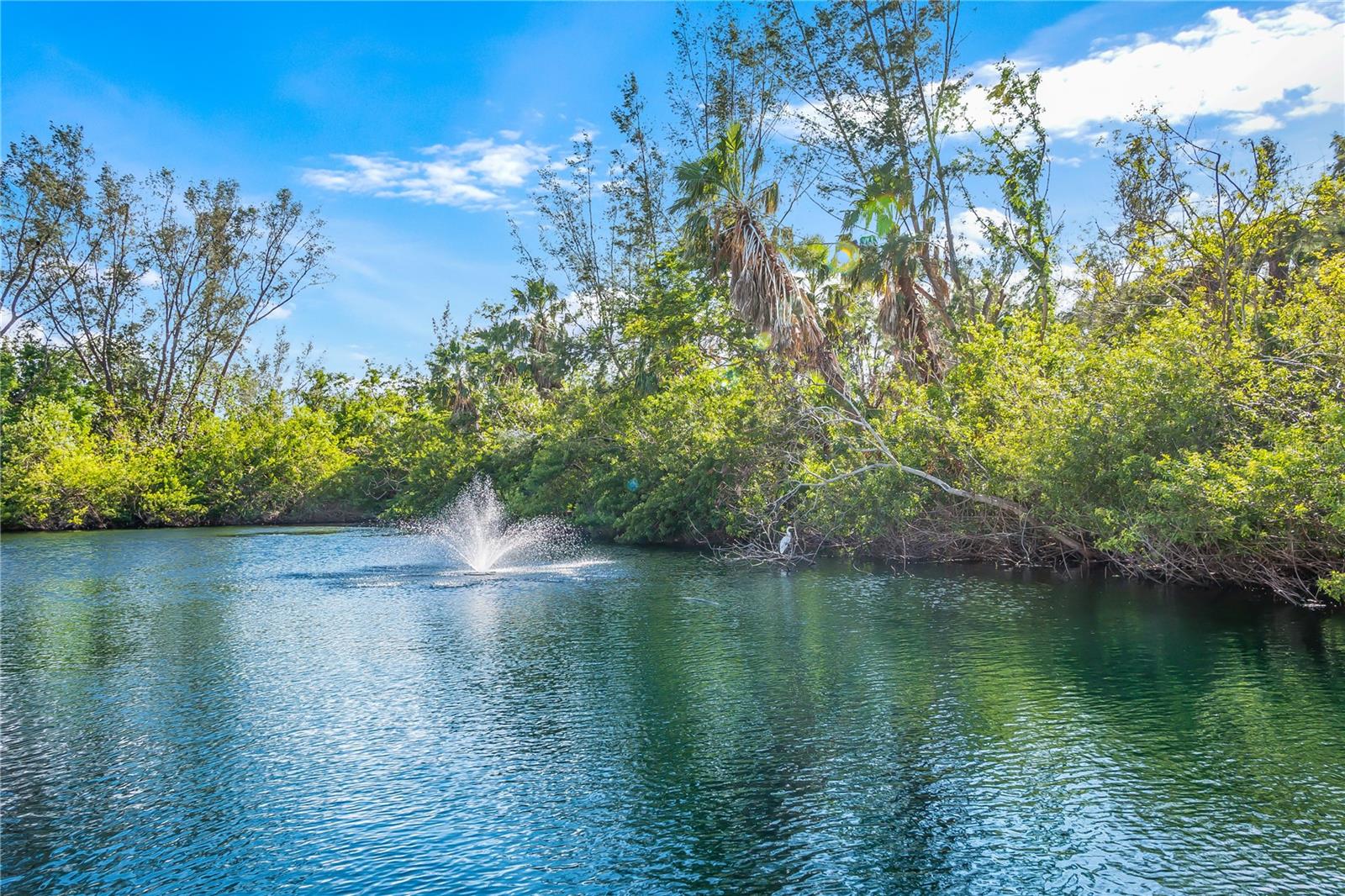 MARINA VILLAGE - Residential