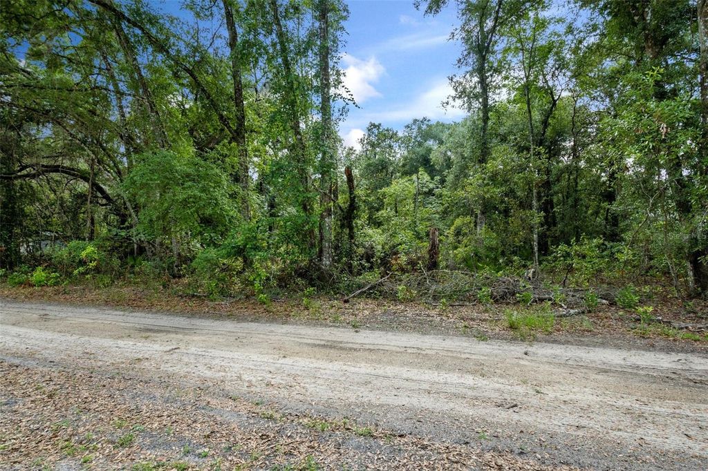Photo of 4712 S Ironwood Point, Inverness, FL 34450 (MLS # W7870476)