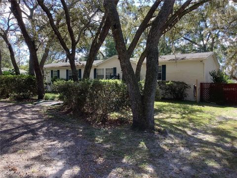 Photo of 34926 Punch Road, Dade City, FL 33523 (MLS # TB8441896)