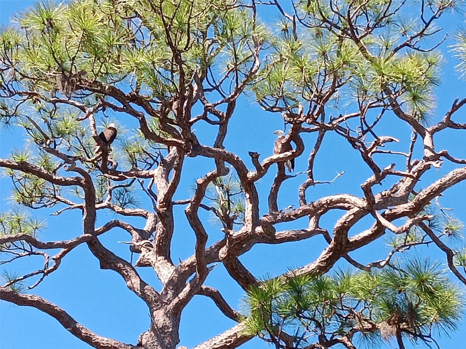 FOREST PARK CONDO PH 02 BLDG 02 - Residential