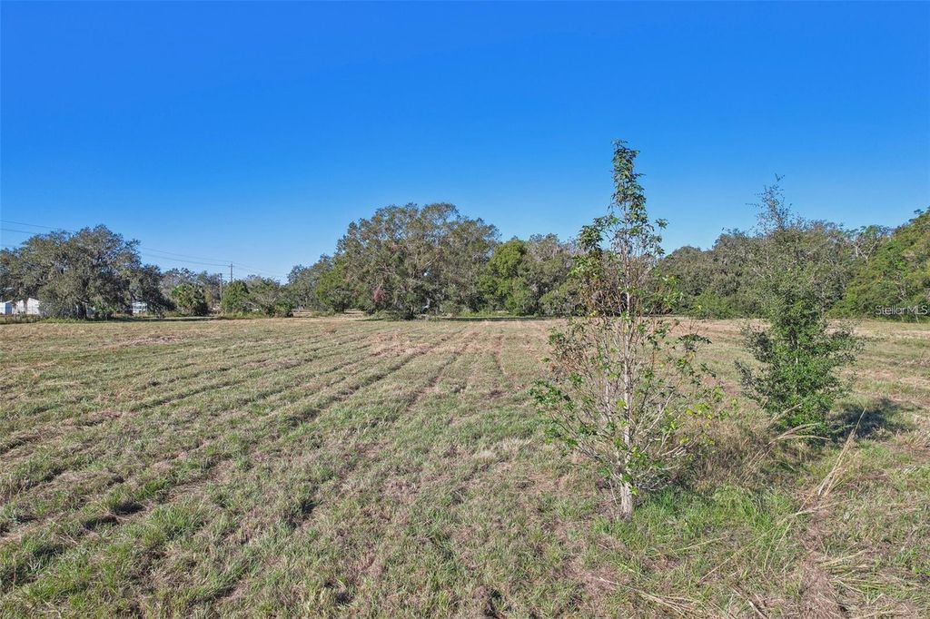 Photo of 00 Cr-542, Lakeland, FL 33801 (MLS # TB8468769)