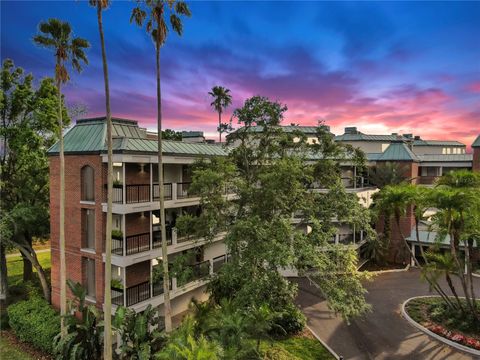 919 SEDDON COVE WAY 919 TAMPA FL 33602