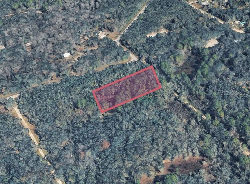 Photo of 9211 Rousseau Street, Webster, FL 33597 (MLS # O6380949)