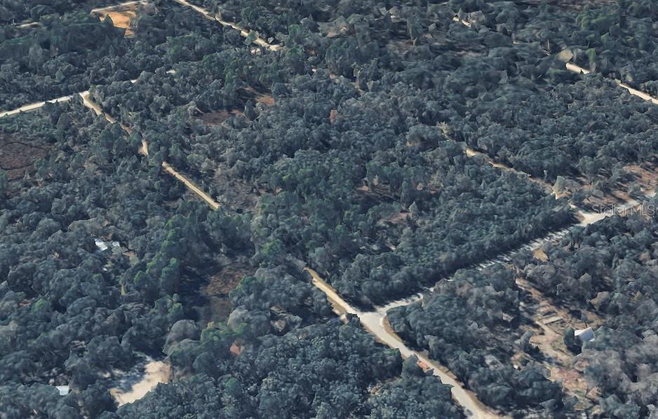 RIDGE MANOR ESTATE - Land