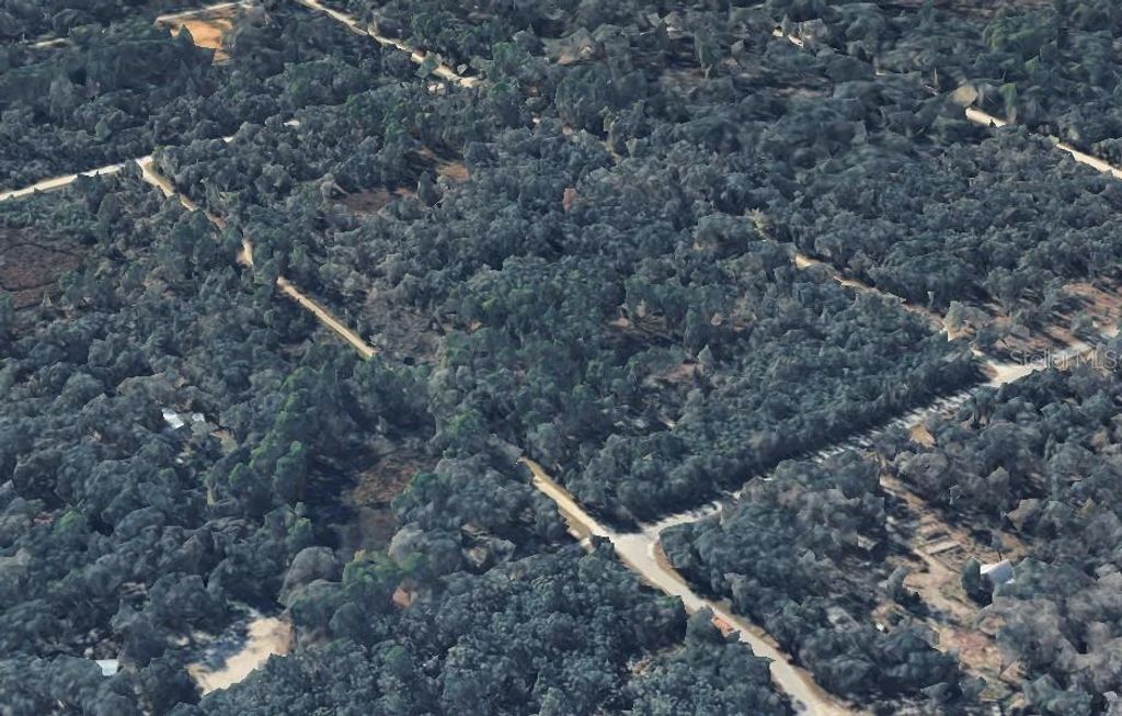 Photo of 9211 Rousseau Street, Webster, FL 33597 (MLS # O6380949)