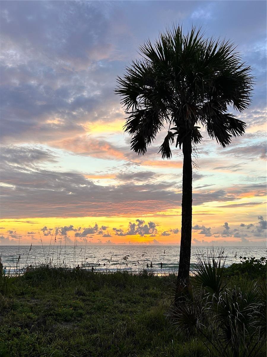 WALK AT INDIAN ROCKS BEACH - Residential