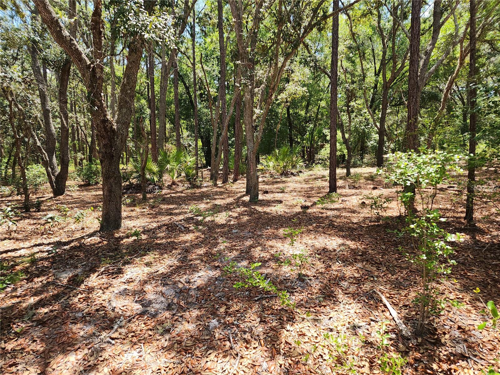 3775/3787 S OSPREY POINT