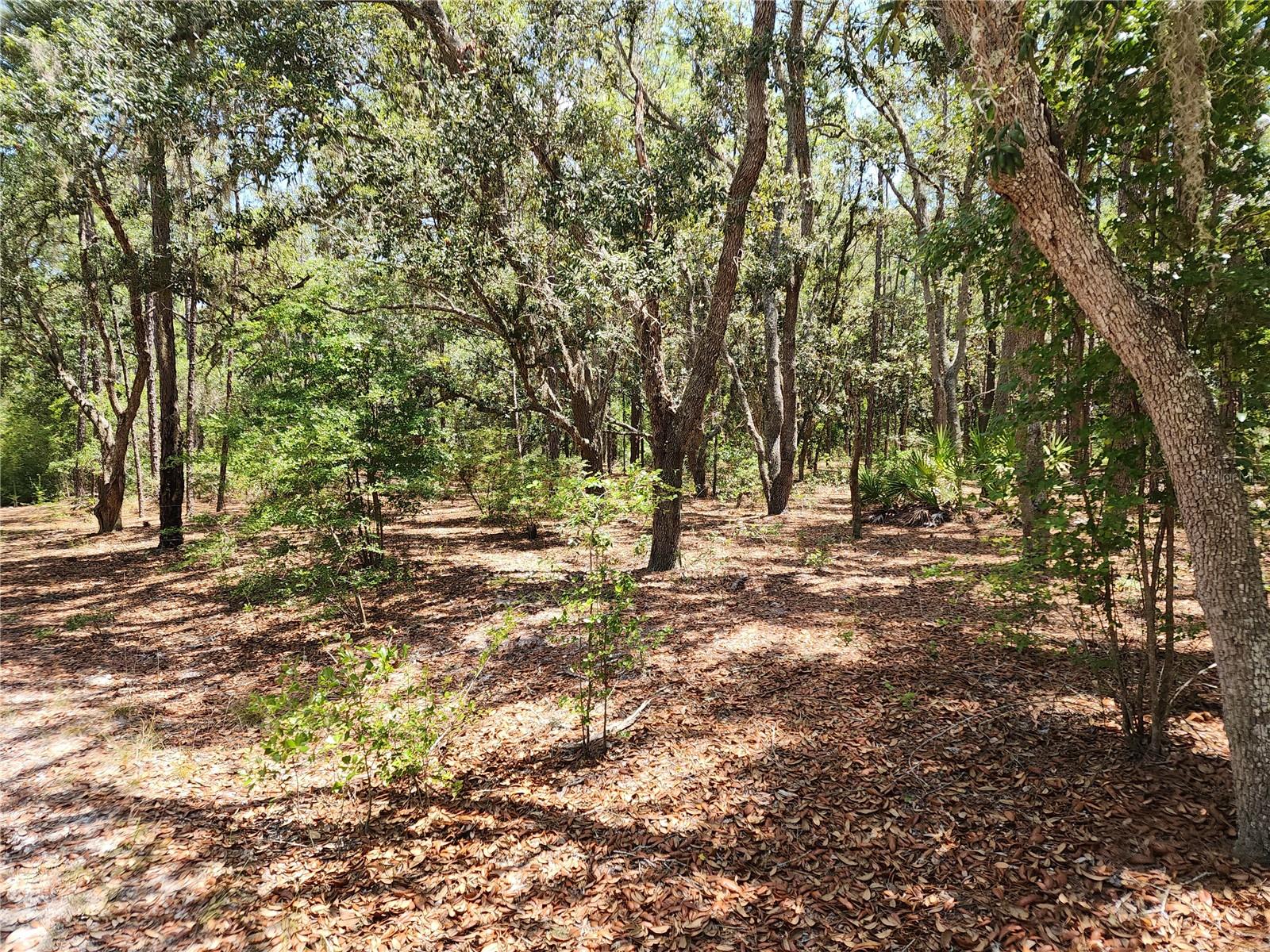 3775/3787 S OSPREY POINT