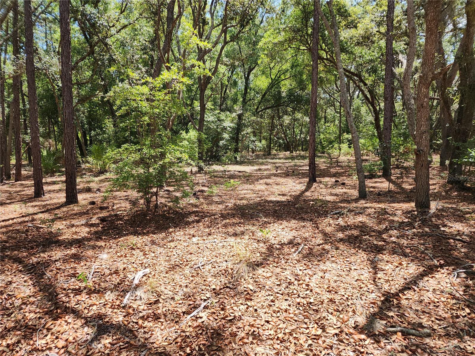 Three lots (27,28 and 29) make up this parcel of property for sale, county ID# numbers 3292096/1795915. Country living but convenient to downtown Inverness just a short drive to shops, restaurants, doctors, churches, parks, lakes, boat ramps, bike path, courthouse and hospital. Nice, flat, buildable home site the 3 lots makes .66 of an acre. The mixture of hardwood and pine trees makes for a gorgeous canopy of shade. This property is not in a flood zone, and has no HOA, so you can have a fence, shed, or RV parked in your yard. It's a short drive to Crystal River, Homosassa and Ocala. The property described has been surveyed, each lot meas...
