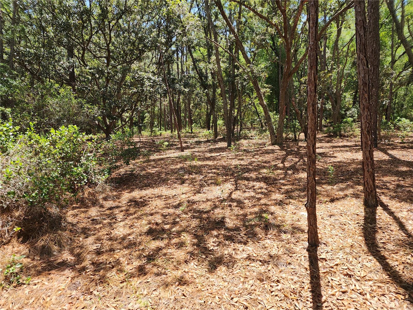 3775/3787 S OSPREY POINT