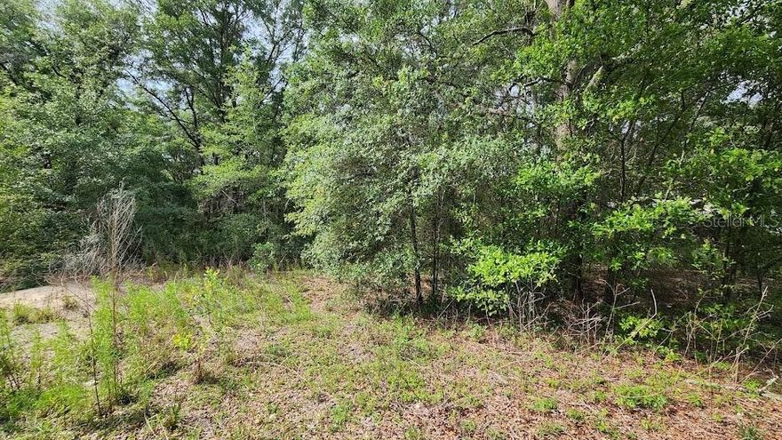 Quarter acre lot in fast growing area close to WORLD EQUESTIAN CENTER.  New houses close by.  No HOA.  No mobile  homes allowed.