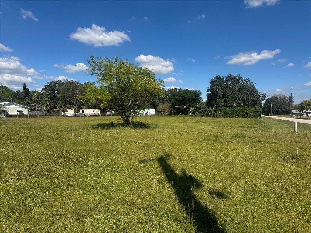 Photo of 2808 SE Ami Drive, Arcadia, FL 34266 (MLS # C7515968)