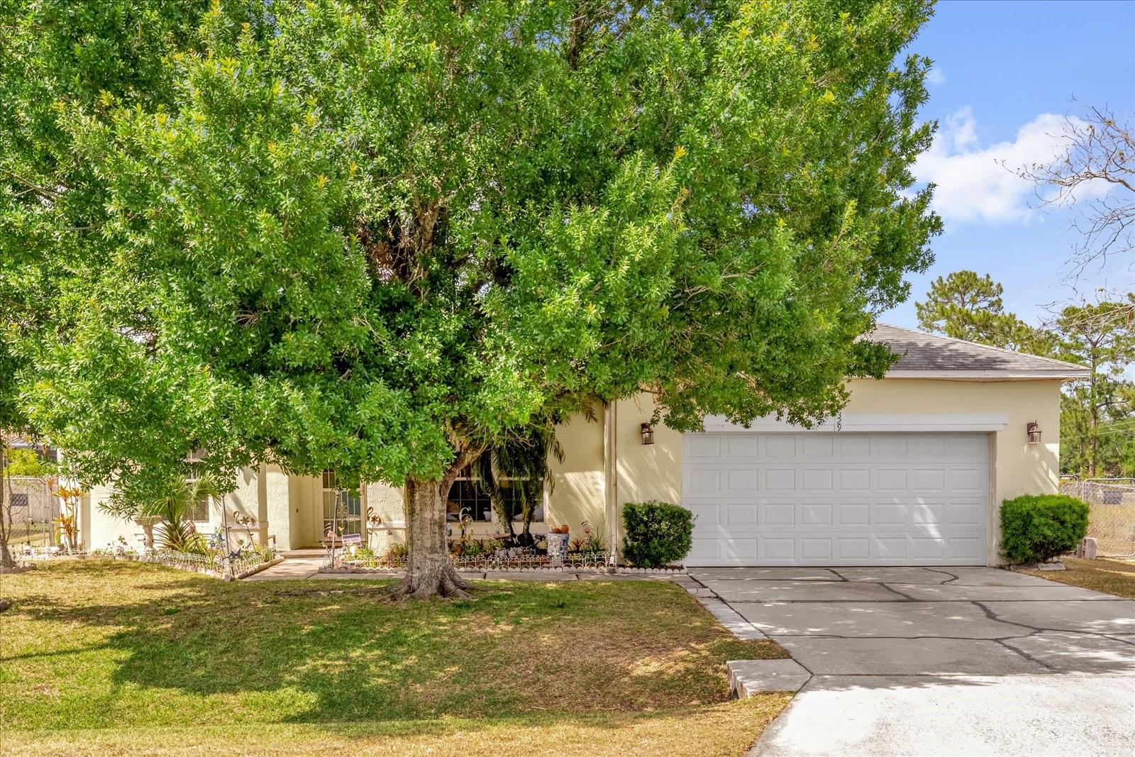 329 ALEGRIANO COURT