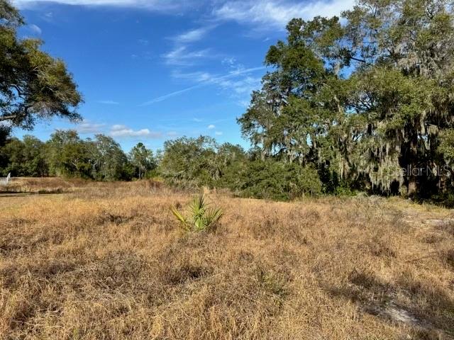 195 LAKE MOLLY AVENUE