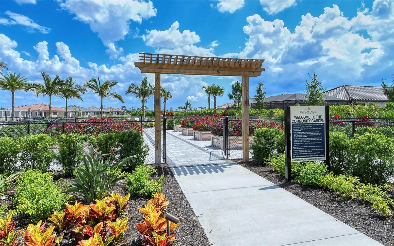 ESPLANADE AT AZARIO - Residential Lease