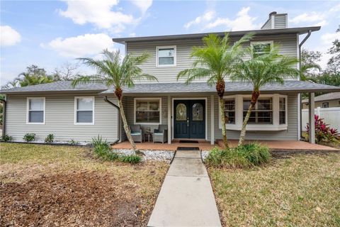 A home in PALM HARBOR