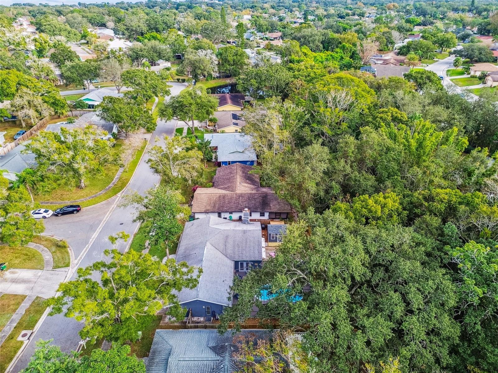 TANGELO GROVE VILLAGE - Residential