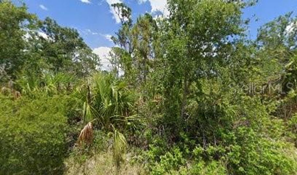 Photo of 1484 Moree Street, Port Charlotte, FL 33953 (MLS # A4677960)